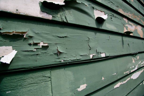 Best Siding Removal and Disposal  in Rlsbad, CA