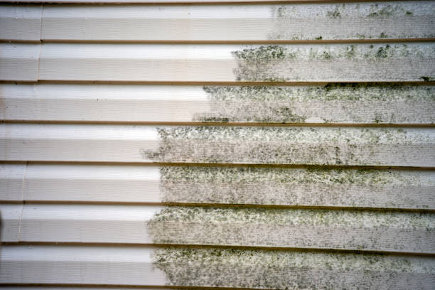 Best Insulated Siding Installation  in Rlsbad, CA
